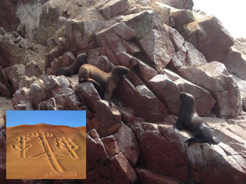 Spedizione alla riserva di Paracas e le Isole Ballestas a 75 Km da Ica