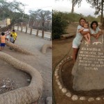 La leyenda de la palmera de siete cabezas de Ica – Perú
