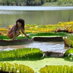 <span lang ="es">IQUITOS MAGICA SELVA AMAZONICA – 05 Dias / 04 Noches desde $505</全長>