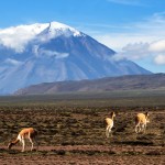 <span lang ="es">AREQUIPA – CUSCO  07 Días / 06 Noches  desde  $773</Átível>