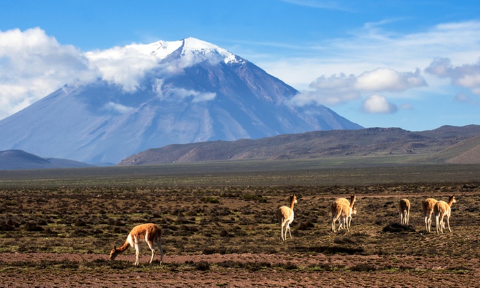 <span lang ="es">AREQUIPA – CUSCO  07 Días / 06 Noches  desde  $773</Hann er í samstarfi við tölvutímarit og ritstýrði tæknidálki dagblaðsins Il Messaggero>