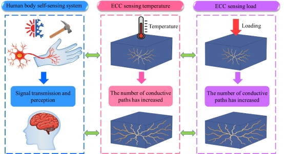 yl6809永利检测中心