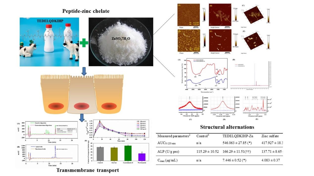 yl6809永利检测中心