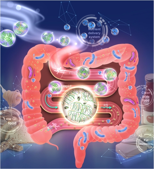 yl6809永利检测中心