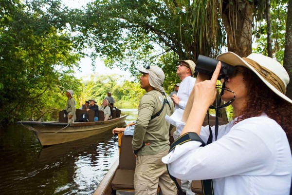 observation des oiseaux amazones