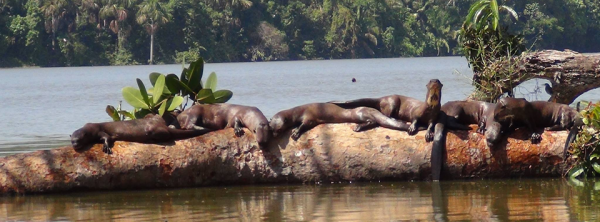 Lago Sandoval