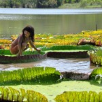 <span lang = "es">IQUITOS MAGICA SELVA AMAZONICA – 05 Days / 04 Nights from $505</span>