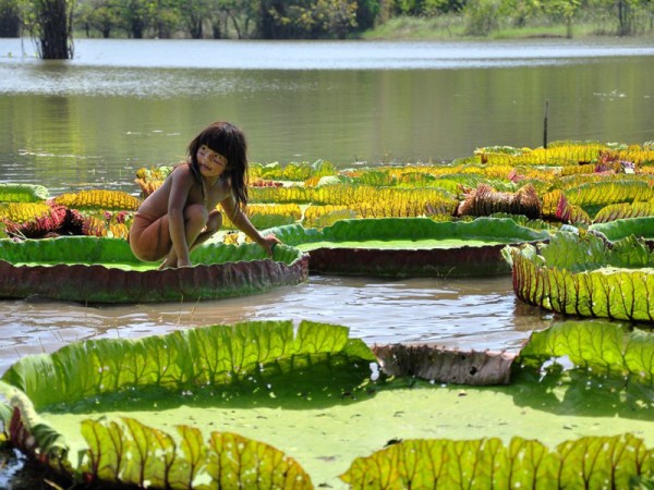<span lang = "es">IQUITOS MAGICA SELVA AMAZONICA – 05 Days / 04 Nights from $505</Span>