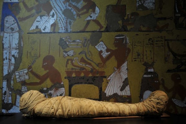Останки коки, найденные в египетских мумиях2